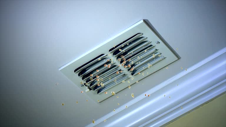 Best Best Air Duct Cleaning Company  in Marion, TX