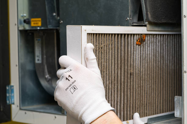 Best Ductwork Cleaning Services  in Marion, TX