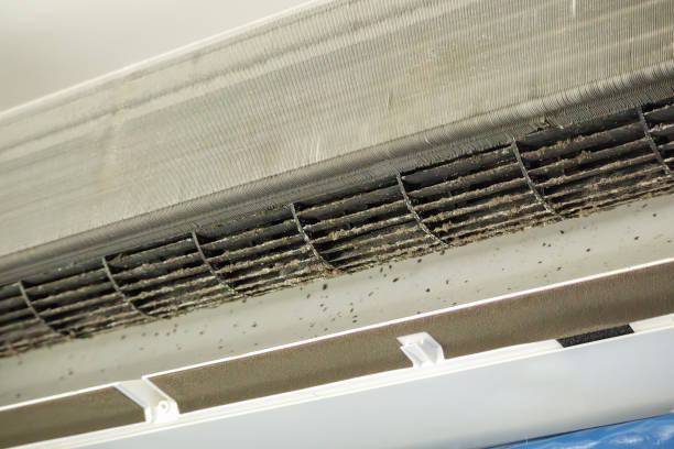 Best Professional Duct Cleaning Services  in Marion, TX